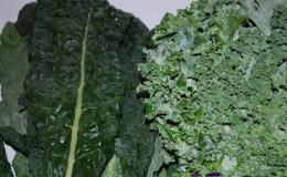Basics of KALE